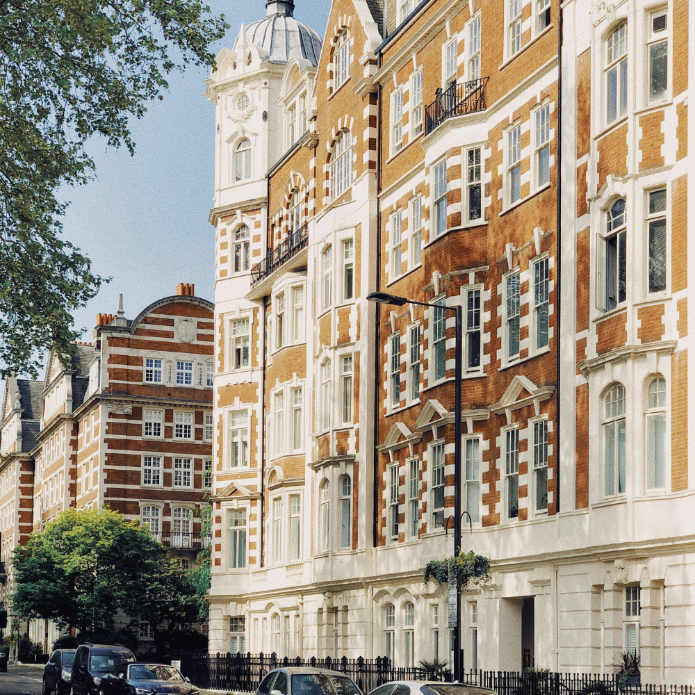 Untitled design - 2025-02-10T211007.240